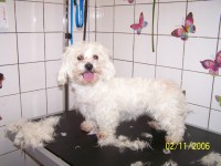 /album/fotogaleria/salon-021-jpg/